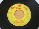 FANTASTIC DEE JAYS You're The One/Two Times Two 45 Garage HEAR