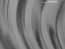 THE WEDDING PRESENT   SATURNALIA   2 x 10