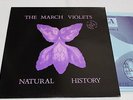 THE MARCH VIOLETS - Natural history - LP + insert