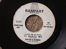 DAVID & RUBEN ( THE MAJESTICS ) - I LOVE HER SO MUCH IT HURTS ME - RAMPART DEMO