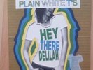 Plain White T's - Hey there Delilah 7