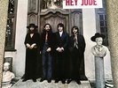 Vinyl Album / LP 