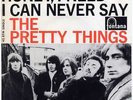 PRETTY THINGS 