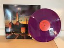 PINK FLOYD - ANIMALS -BRAND NEW PURPLE COLORED VINYL LP RECORD