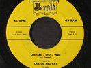 CHARLIE & RAY: Oh Gee, Oo-wee 45 (sl warp dnap, lbl staining) Blues & R&B