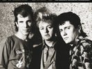 Toronto Strut, Stray Cats, Vinyl, 0803341393394