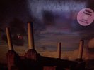 Pink Floyd ANIMALS pinkes Vinyl