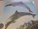 Orange Juice - You Can´t Hide Your Love Forever - LP 180g Vinyl  // Neu & OVP
