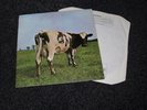 PINK FLOYD Atom Heart Mother UK Quadraphonic  LP NEAR MINT