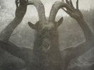 LP - Cough / Windhand - Reflection Of The Negative