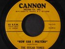 SUGAR TONES: Hippity Hop / How Can I Pretend 45 Oldies