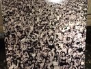 GEORGE MICHAEL LISTEN WITHOUT PREJUDICE 1990 LP Sealed Vintage
