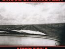 Bruce Springsteen-Nebraska  (US IMPORT)  Vinyl / 12