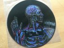 TOOL LATERALUS MEGA RARITY PROMO PICTURE DISC in 2005 USA MINT