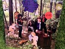 LITTLE BOY BLUES IN THE WOODLAND OF WEIR 1968 •SEALED• acid trip fuzz RARE psych