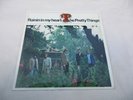 THE PRETTY THINGS 'RAININ' IN MY HEART' VINYL 7