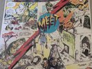 The Meteors meet Screaming Lord Sutch L.P  signed ,Very Rare on white label