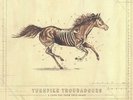 TURNPIKE TROUBADOURS - A Long Way From Your Heart - Vinyl (2xLP)