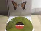 Paramore Brand New Eyes LP Olive/Black Vinyl Blink 182 Panic Disco Fall Out Boy