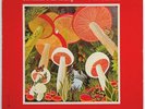 The Mutual Understanding IN WONDERLAND  Canadian psych LP