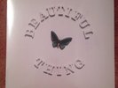 THE STONE ROSES - Beautiful Thing VINYL RECORD 12