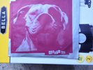 GREEN DAY 45 7” Record SLAPPY E.P. RARE
