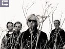 Petty, tom and Heartbreakers - Echo Vinyl LP (2) Reprise / Warner NEU
