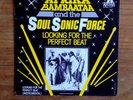 AFRIKA BAMBAATAA / LOOKING FOR THE PERFECT BEAT / RAP HIP HOP 45 PICTURE COVER
