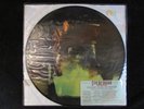 STEVIE RAY VAUGHAN couldn’t stand the weather US ORIG PICTURE DISC blues LP EX
