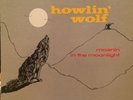 HOWLIN’ WOLF Moanin’ In The Moonlight LP CHESS CH 9195 rare blue NM