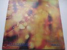 STEAMHAMMER 'REFLECTION' 1ST ALBUM HEAVY BLUES UK ORIG '69 NICE COPY