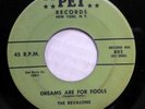 REVALONS 45 Dreams are for fools / This is the moment PET  Doowop ws363