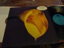 SWANS - The Burning World - LP 1st Press - 1989 - Near-Mint