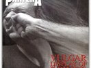 WEA Pantera - Vulgar Display Of Power 180 Gram Vinyl 2LP