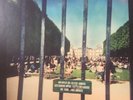Lonerism [Deluxe Edition] by Tame Impala (Vinyl, Nov-2012, Modular Recordings)
