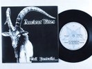 Black Metal 45 ANCIENT RITES Evil Prevails WILD RAGS VG++ picture sleeve HEAR