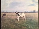 PINK FLOYD Dark Side Of The Moo TRIXIE RECORDS 1986 SCREAMING ABDABS RARE Vinyl