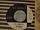THE MONZAS 45RPM HEY I KNOW YOU / FOREVER WALKS A DRIFTER