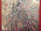 Flaming Lips Stone Roses The Time Has Come To Shoot You Down... What A Sound LP