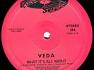 VEDA - What It's All About / Ain't Nothing But A Party - 12