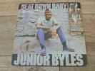 Junior Byles - Beat Down Babylon 1972 JA LP DYNAMIC 1st LEE PERRY