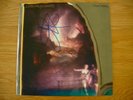 John Frusciante/Red Hot Chili Peppers/Curtains LP 1st press New/Autographed