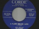 ROCKABILLY GUITAR BLASTER bw/ TEEN-  JOEY VEE & the RAIDERS  - HEAR- N.J. CORDE