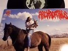 ARCHAGATHUS canadian horse LP unholy grave agathocles mincecore disrupt