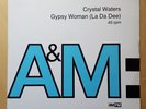 Gypsy Woman by Crystal Waters - 12 inch Vinyl Record - 90's Dance Music