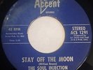 THE SOUL INJECTION 
