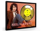 Neil Diamond Sweet Caroline Framed Gold Disc Display Vinyl (C1)