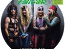 STEEL PANTHER Lower The Bar PICTURE DISC Black Friday RSD 2017 VINYL LP New