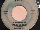 THE BLUE JAYS   POINT OF VIEW   JAY RECORDS 4815  Rare Orig. ‘65 Northern Soul