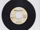 PROPHET/ KING OF KINGS   -  WAYNE WADE (76 REGGAE ROOTS 7